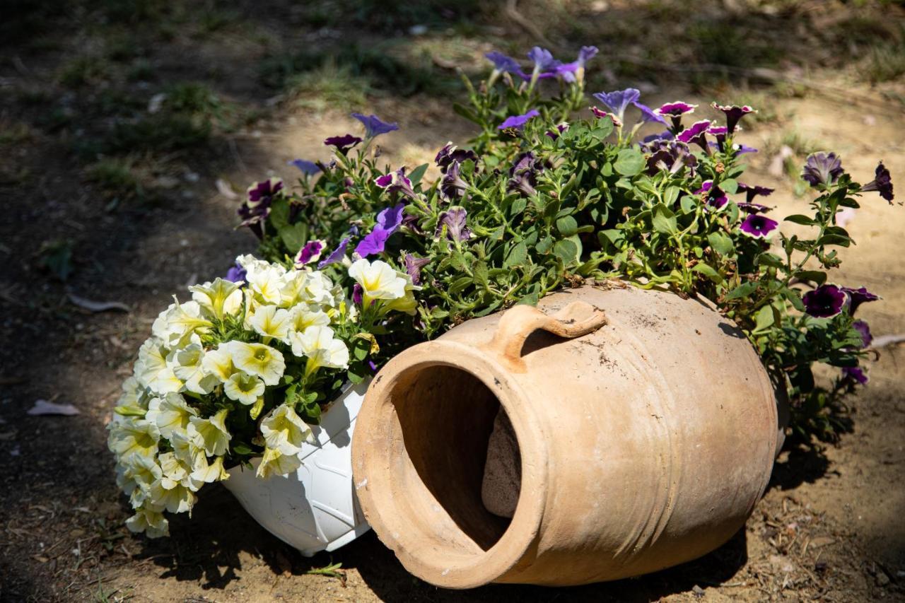 Zervos Bouka Daire Lefkimmi (Corfu)