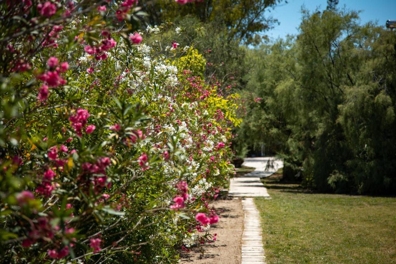 Zervos Bouka Daire Lefkimmi (Corfu)
